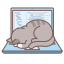 ArrayCat